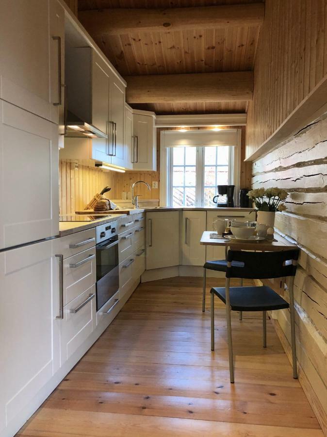 Villa Svenskveien 23B Røros Esterno foto